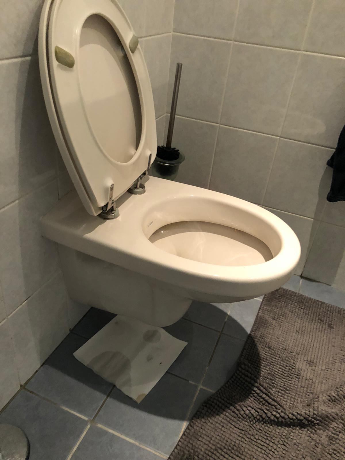 hangtoilet Kudelstaart